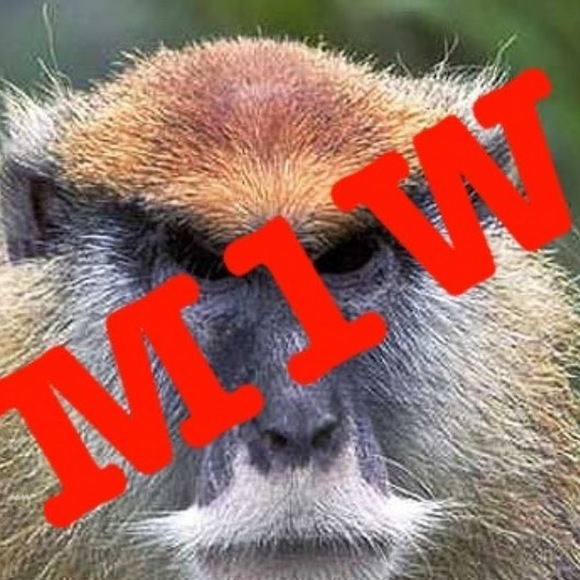 Meet your Posher, Monkeys1wormz - Picture 1 of 1
